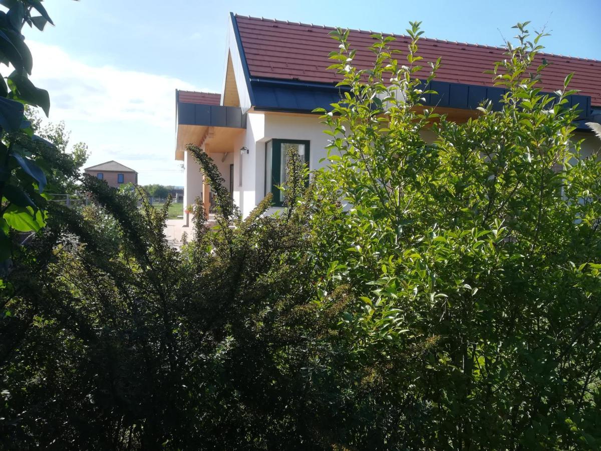 Edina Vendeghaz-Gyenesdias Apartment Ngoại thất bức ảnh